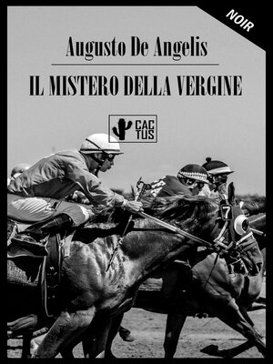 cover image of Il mistero della Vergine